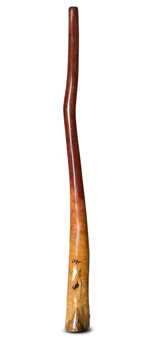 Tristan O'Meara Didgeridoo (TM252)